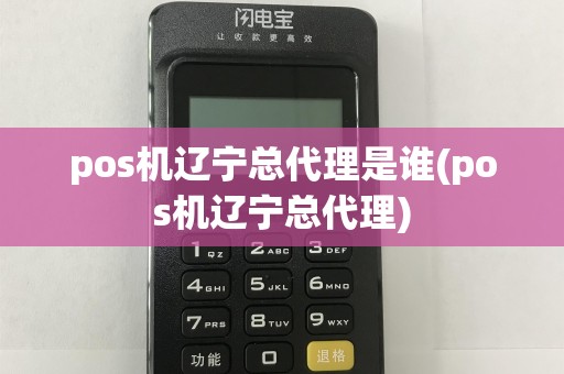 pos机辽宁总代理是谁(pos机辽宁总代理)