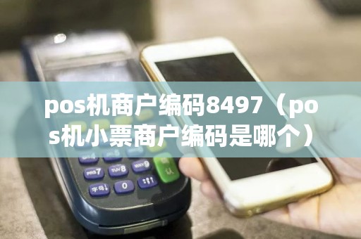 pos机商户编码8497（pos机小票商户编码是哪个）