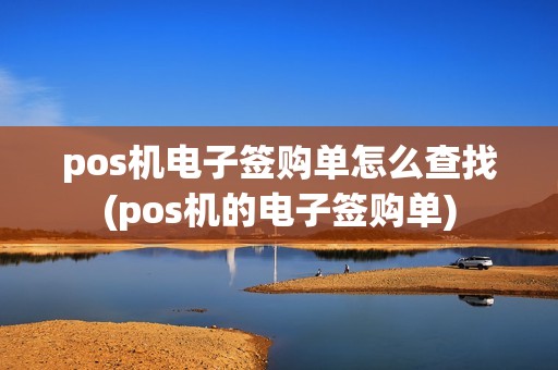 pos机电子签购单怎么查找(pos机的电子签购单)