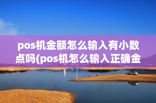 pos机金额怎么输入有小数点吗(pos机怎么输入正确金额呢)