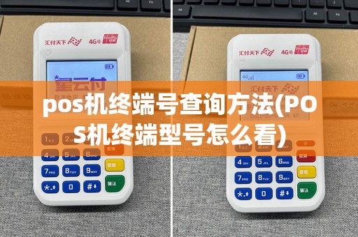 pos机终端号查询方法(POS机终端型号怎么看)