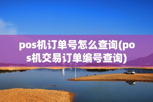 pos机订单号怎么查询(pos机交易订单编号查询)  第1张