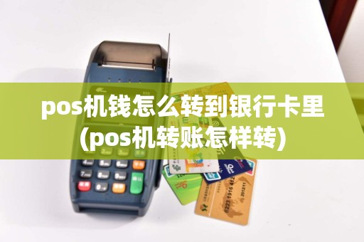 pos机钱怎么转到银行卡里(pos机转账怎样转)  第1张