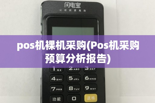 pos机裸机采购(Pos机采购预算分析报告)