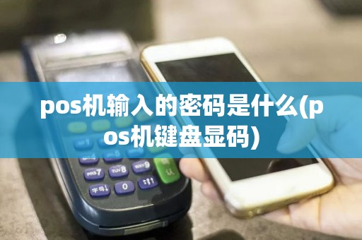pos机输入的密码是什么(pos机键盘显码)