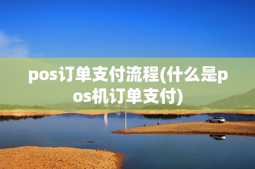 pos订单支付流程(什么是pos机订单支付)