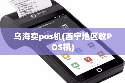 乌海卖pos机(西宁地区收POS机)