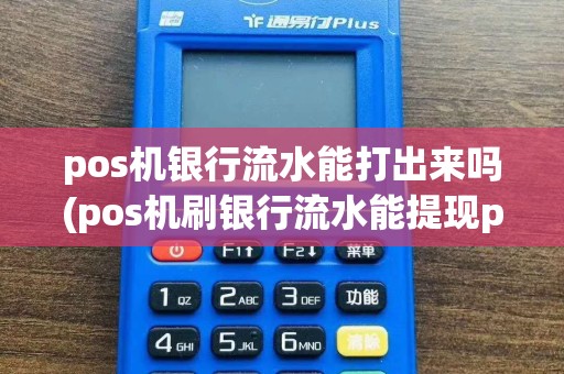 pos机银行流水能打出来吗(pos机刷银行流水能提现pos机)