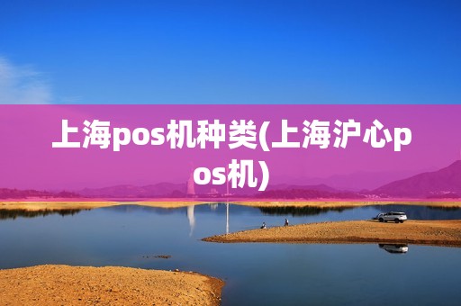 上海pos机种类(上海沪心pos机)