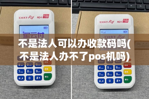 不是法人可以办收款码吗(不是法人办不了pos机吗)