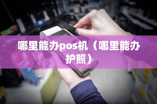 哪里能办pos机（哪里能办护照）  第1张