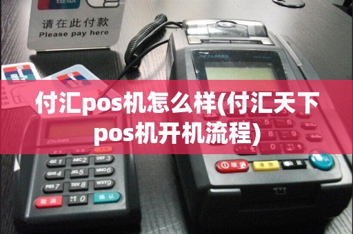 付汇pos机怎么样(付汇天下pos机开机流程)