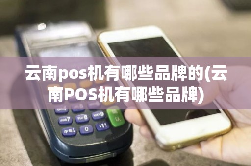 云南pos机有哪些品牌的(云南POS机有哪些品牌)