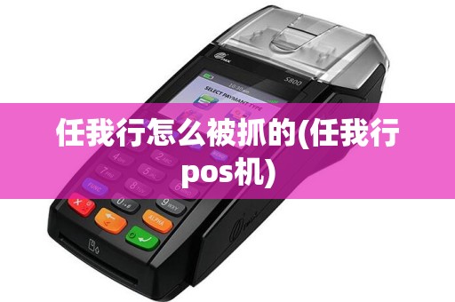 任我行怎么被抓的(任我行pos机)  第1张