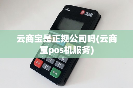 云商宝是正规公司吗(云商宝pos机服务)