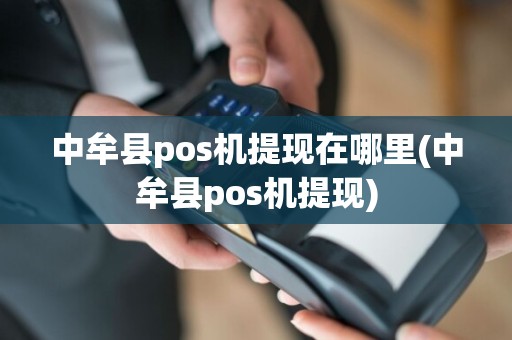 中牟县pos机提现在哪里(中牟县pos机提现)