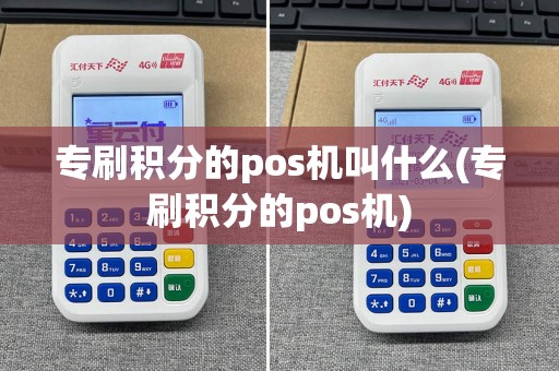 专刷积分的pos机叫什么(专刷积分的pos机)