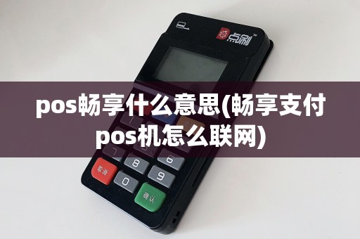pos畅享什么意思(畅享支付pos机怎么联网)