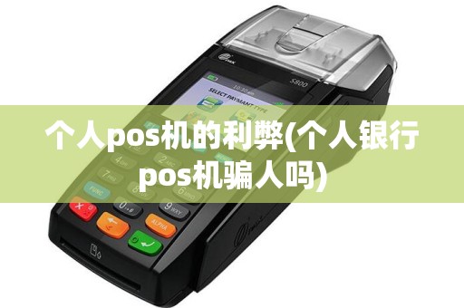 个人pos机的利弊(个人银行pos机骗人吗)
