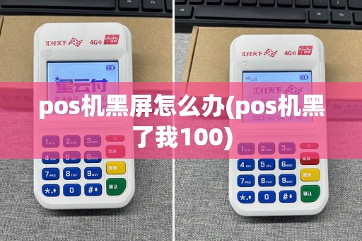 pos机黑屏怎么办(pos机黑了我100)
