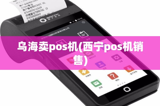 乌海卖pos机(西宁pos机销售)