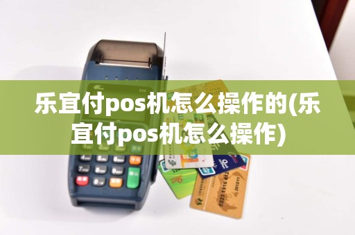 乐宜付pos机怎么操作的(乐宜付pos机怎么操作)  第1张