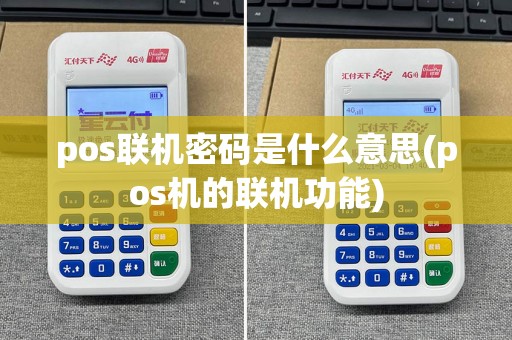 pos联机密码是什么意思(pos机的联机功能)