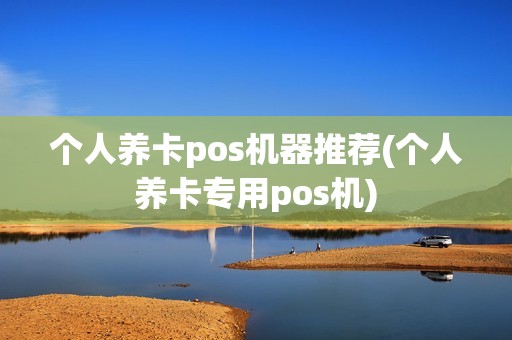 个人养卡pos机器推荐(个人养卡专用pos机)  第1张
