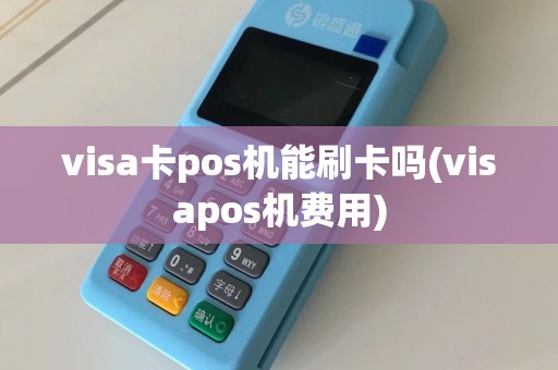 visa卡pos机能刷卡吗(visapos机费用)  第1张