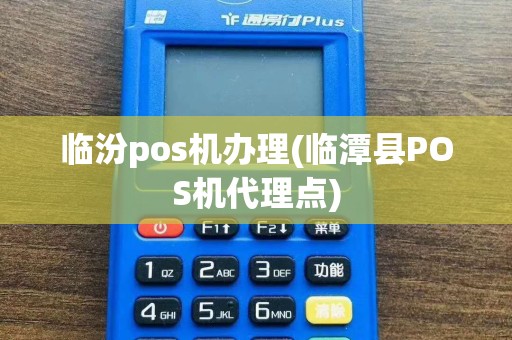 临汾pos机办理(临潭县POS机代理点)