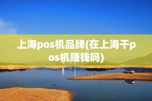 上海pos机品牌(在上海干pos机赚钱吗)