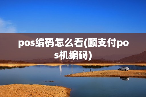 pos编码怎么看(颐支付pos机编码)