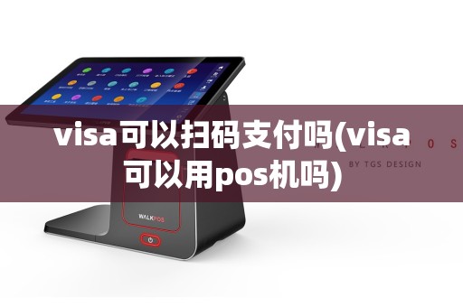 visa可以扫码支付吗(visa可以用pos机吗)