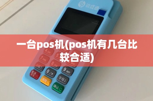 一台pos机(pos机有几台比较合适)