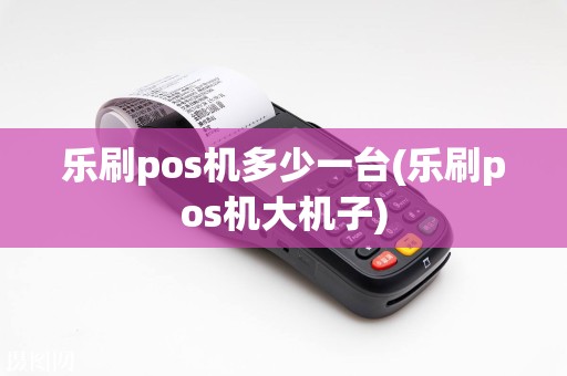 乐刷pos机多少一台(乐刷pos机大机子)