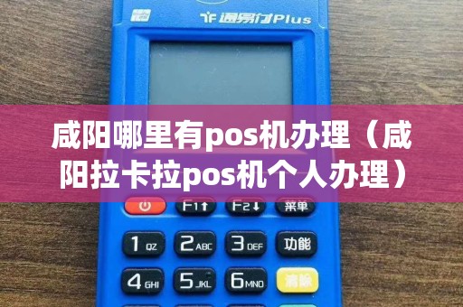 咸阳哪里有pos机办理（咸阳拉卡拉pos机个人办理）  第1张
