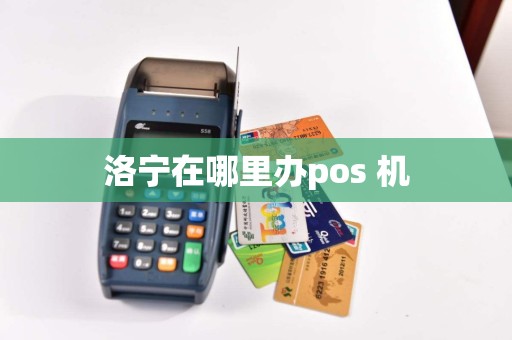 洛宁在哪里办pos 机  第1张