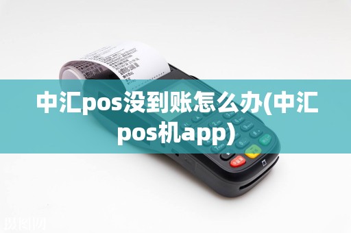 中汇pos没到账怎么办(中汇pos机app)