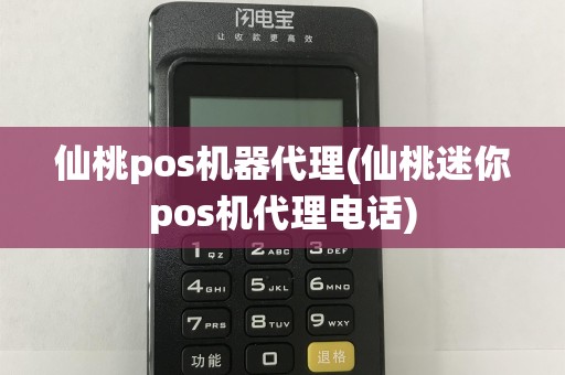 仙桃pos机器代理(仙桃迷你pos机代理电话)