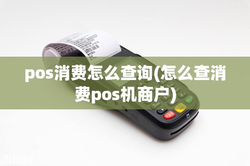 pos消费怎么查询(怎么查消费pos机商户)