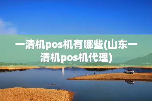 一清机pos机有哪些(山东一清机pos机代理)