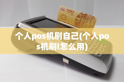 个人pos机刷自己(个人pos机刷l怎么用)