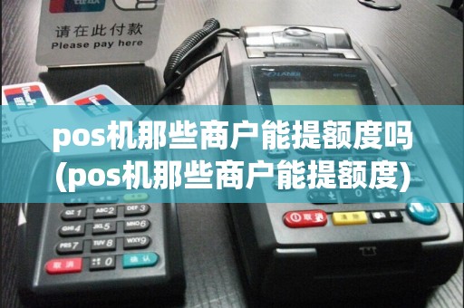 pos机那些商户能提额度吗(pos机那些商户能提额度)