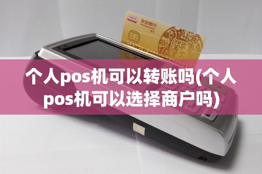 个人pos机可以转账吗(个人pos机可以选择商户吗)