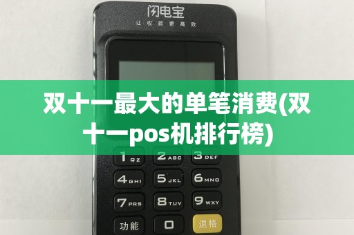 双十一最大的单笔消费(双十一pos机排行榜)