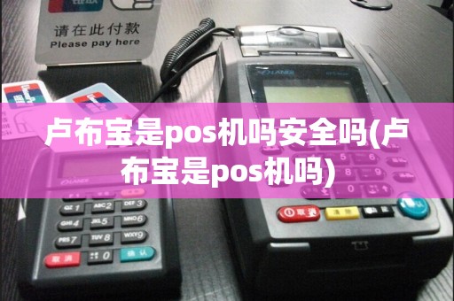 卢布宝是pos机吗安全吗(卢布宝是pos机吗)