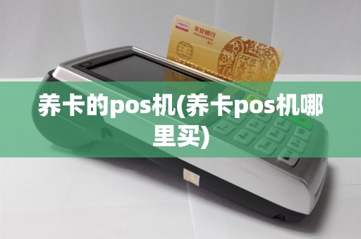 养卡的pos机(养卡pos机哪里买)
