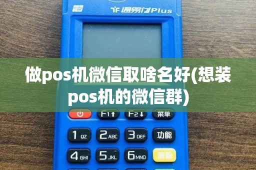 做pos机微信取啥名好(想装pos机的微信群)  第1张