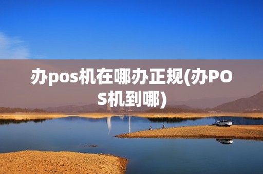 办pos机在哪办正规(办POS机到哪)
