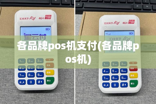 各品牌pos机支付(各品牌pos机)
